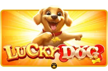 Layar verifikasi pembayaran Dice Game kode syair menampilkan opsi BCA, DANA, OVO, dan GoPay